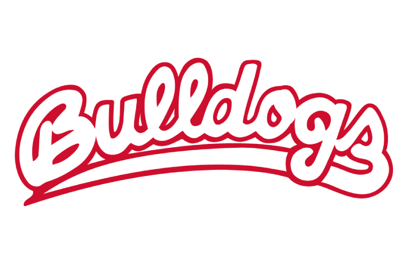 Fresno State Bulldogs 2022 Helmet Logo diy iron on heat transfer